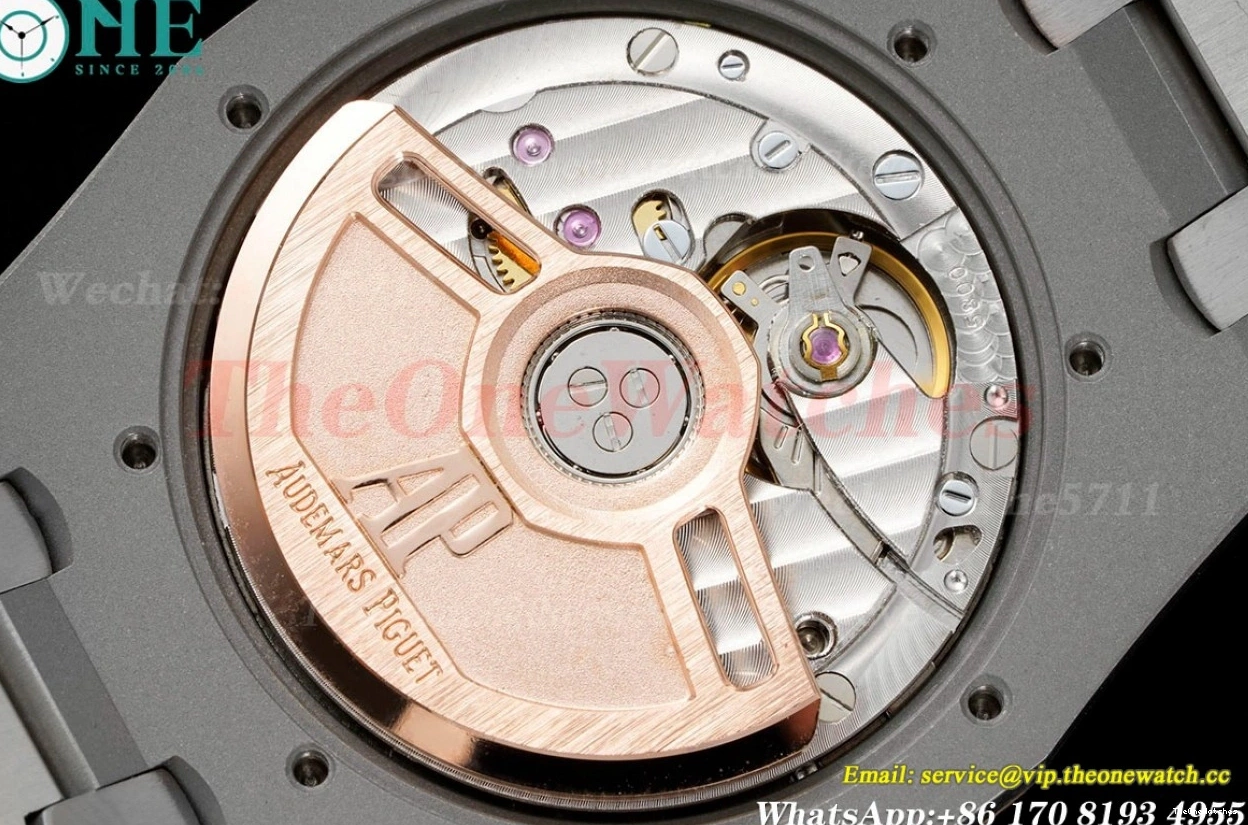 White 77350 Oak Royal  SS 34mm A5800 8F Ladies SS Dial 0113